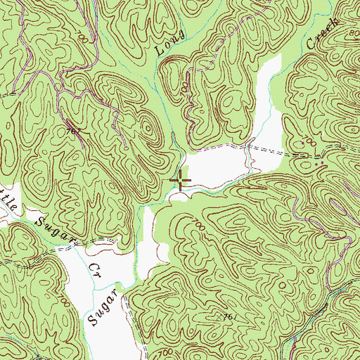 Topographic Map of Long Branch, GA