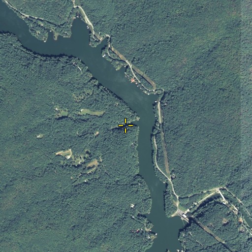 Aerial/Satellite Image of Long Branch, GA