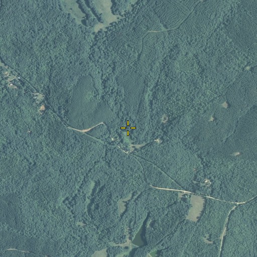 Aerial/Satellite Image of Long Branch, GA