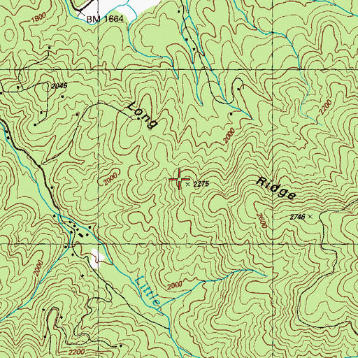 Topographic Map of Long Ridge, GA