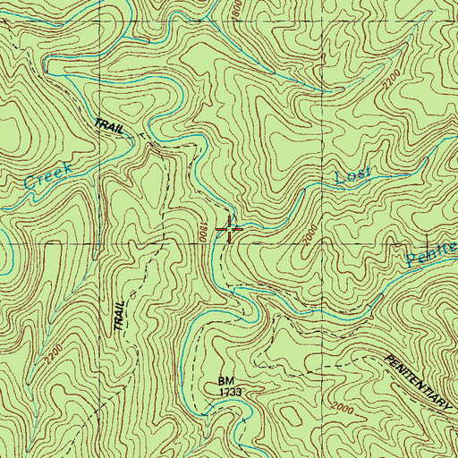 Topographic Map of Lost Branch, GA