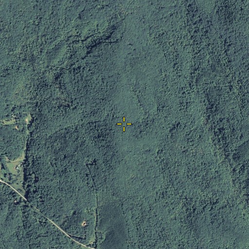 Aerial/Satellite Image of Low Gap, GA