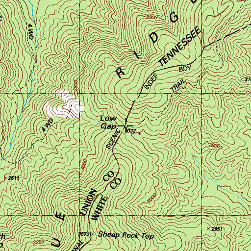 Topographic Map of Low Gap, GA