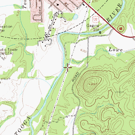 Topographic Map of Lowe Branch, GA