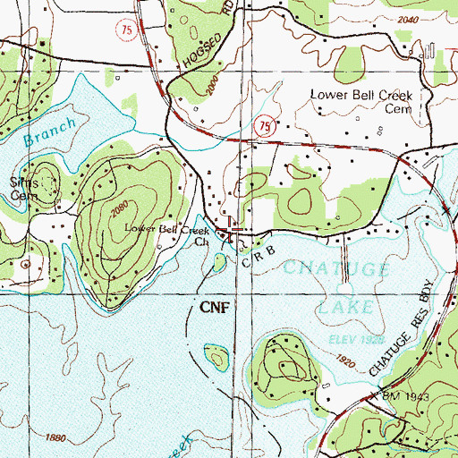 Topographic Map of Lower Bell Creek Church, GA