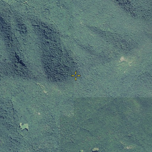 Aerial/Satellite Image of Lower Cynth Gap, GA