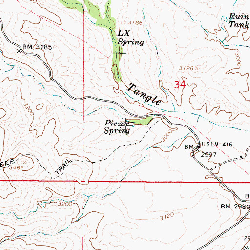 Topographic Map of Picnic Spring, AZ