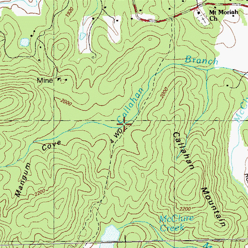 Topographic Map of Mangum Cove, GA