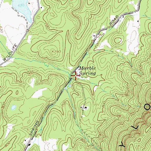 Topographic Map of Marble Spring, GA