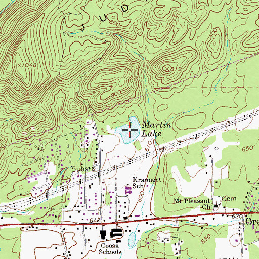 Topographic Map of Martin Lake, GA