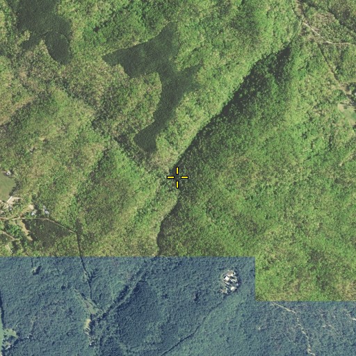 Aerial/Satellite Image of Mason Branch, GA