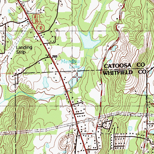 Topographic Map of Meadow Lake, GA