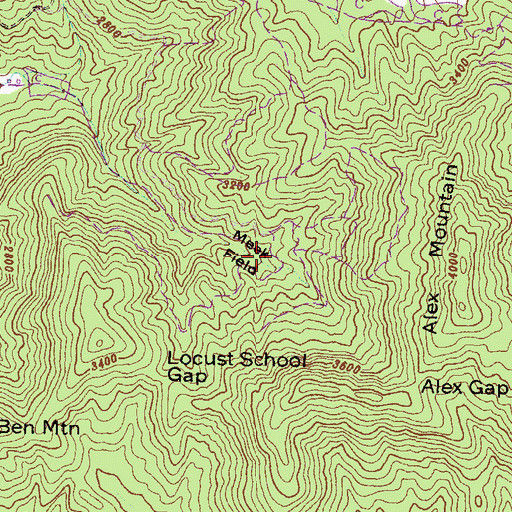 Topographic Map of Meek Field, GA
