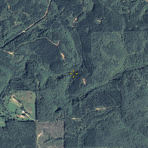 Aerial/Satellite Image of Mill Creek, GA