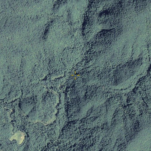 Aerial/Satellite Image of Millshoal Creek, GA