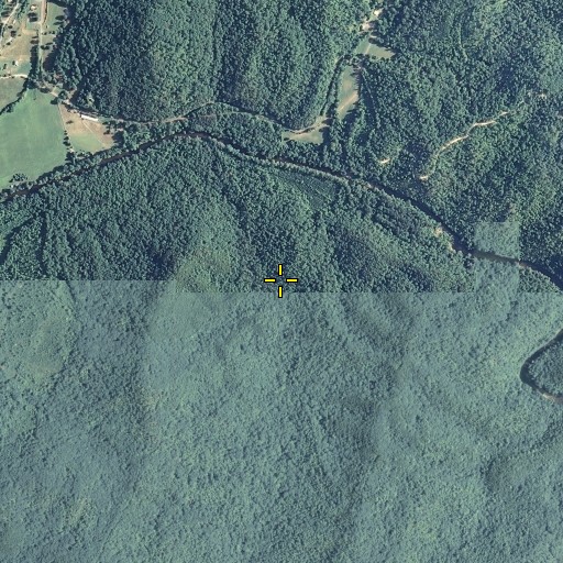 Aerial/Satellite Image of Mooneyham Branch, GA