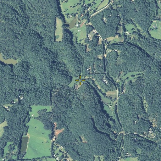Aerial/Satellite Image of Moose Creek, GA