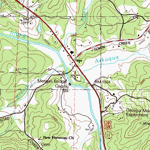 Topographic Map of Morgan Bridge, GA