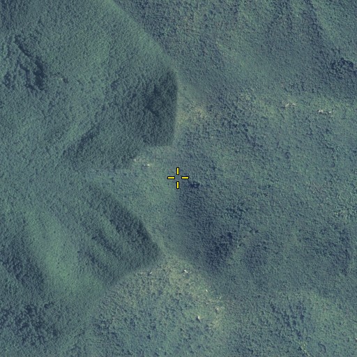 Aerial/Satellite Image of Morris Gap, GA