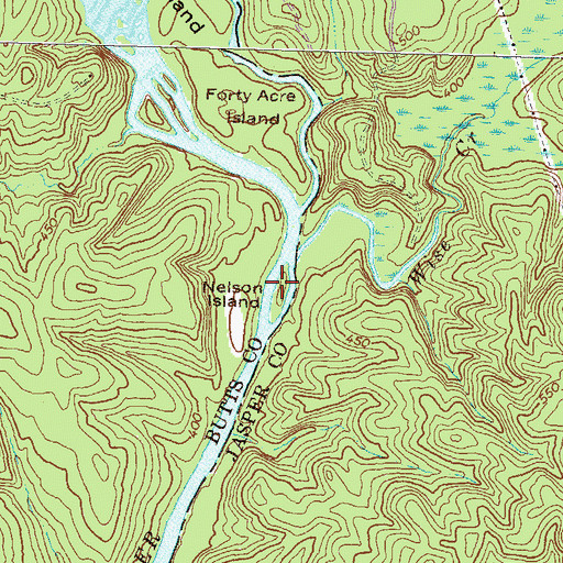 Topographic Map of Nelson Island, GA