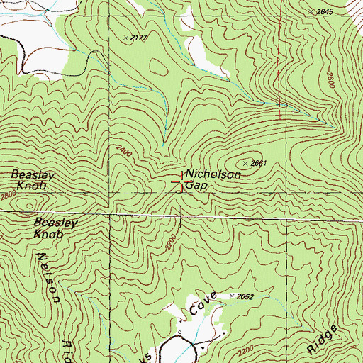 Topographic Map of Nicholson Gap, GA