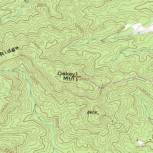 Topographic Map of Oakey Mountain, GA