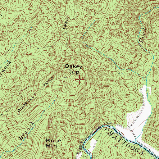 Topographic Map of Oakey Top, GA