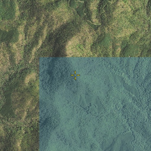 Aerial/Satellite Image of Oakey Top, GA