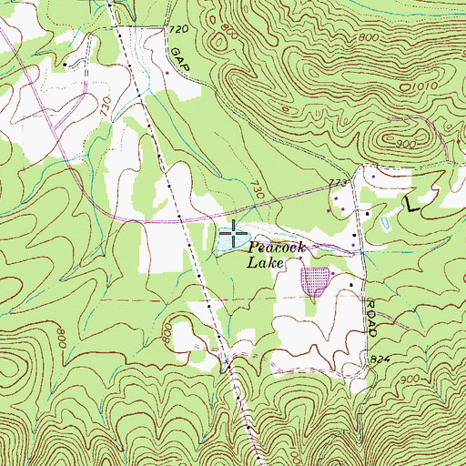 Topographic Map of Peacock Lake, GA