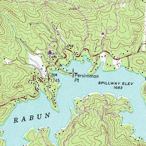 Topographic Map of Persimmon Point, GA