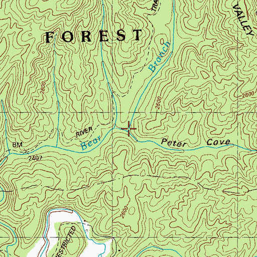 Topographic Map of Peter Cove, GA