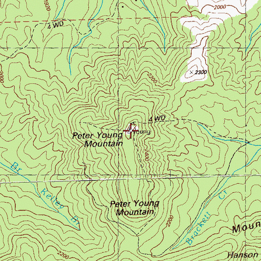 Topographic Map of Peter Young Mountain, GA