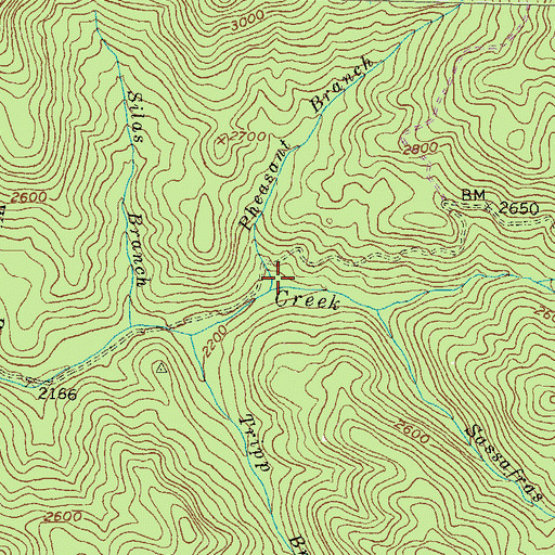 Topographic Map of Pheasant Branch, GA