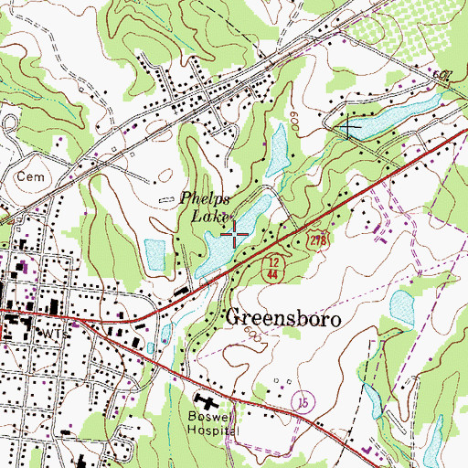 Topographic Map of Phelps Lake, GA