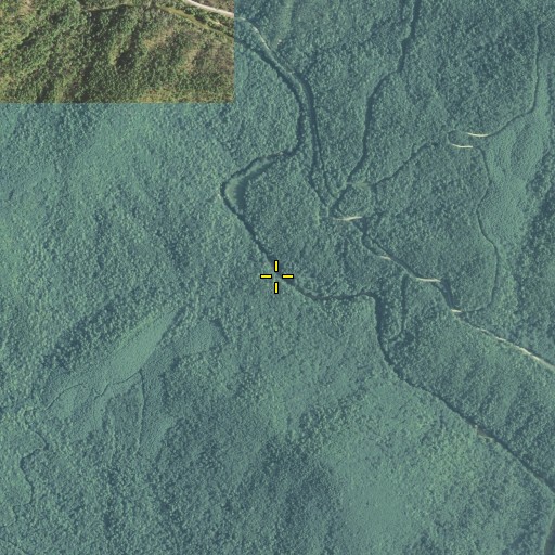 Aerial/Satellite Image of Pigpen Branch, GA