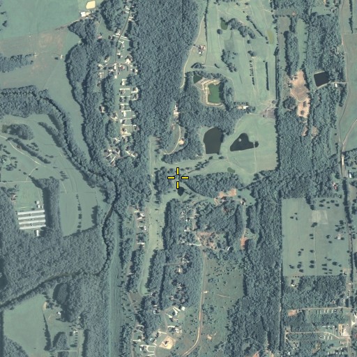 Aerial/Satellite Image of Pinhook Creek, GA