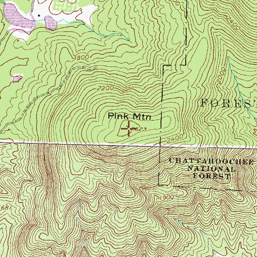 Topographic Map of Pink Mountain, GA