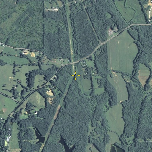 Aerial/Satellite Image of Pitner Branch, GA