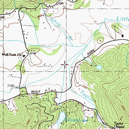 Topographic Map of Pitt Branch, GA