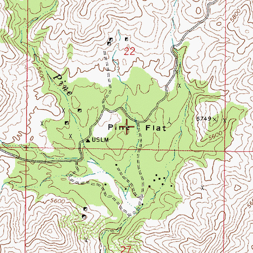 Topographic Map of Pine Flat, AZ