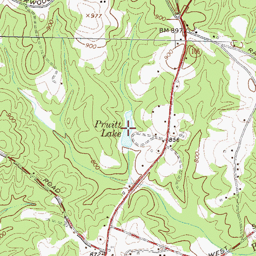 Topographic Map of Pruitt Lake, GA