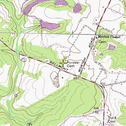 Topographic Map of Puryear Cemetery, GA