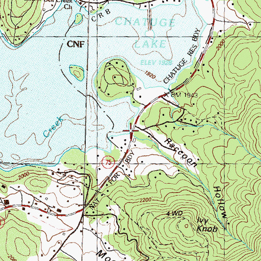 Topographic Map of Raccoon Hollow, GA