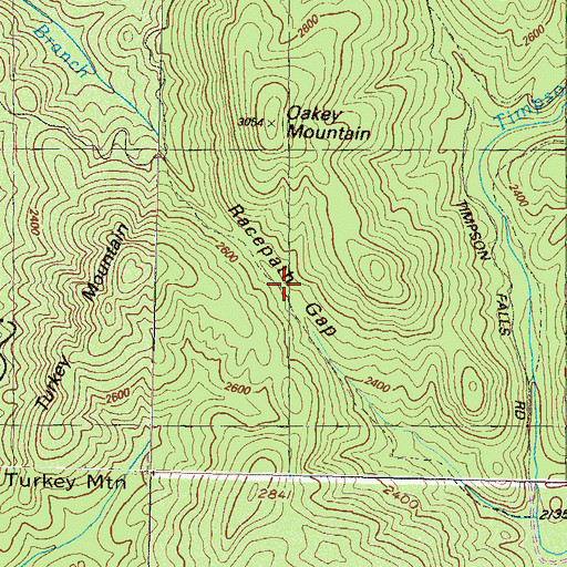 Topographic Map of Racepath Gap, GA
