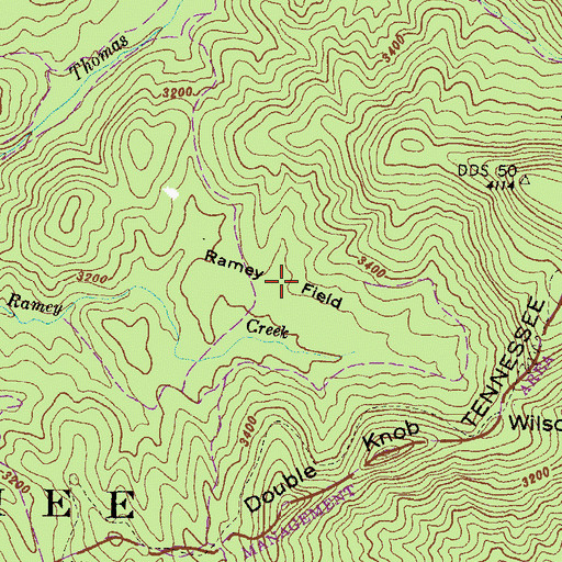 Topographic Map of Ramey Field, GA