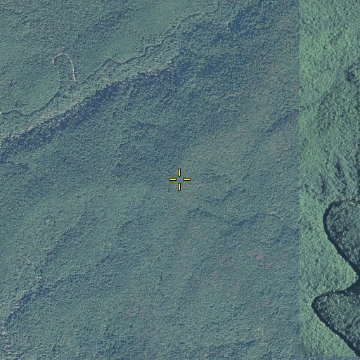 Aerial/Satellite Image of Rand Mountain, GA