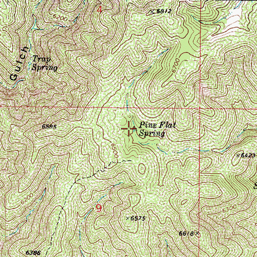 Topographic Map of Pine Flat Spring, AZ