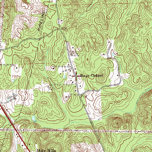 Topographic Map of Rays Chapel, GA