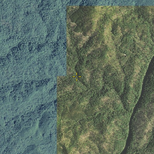 Aerial/Satellite Image of Razor Branch, GA