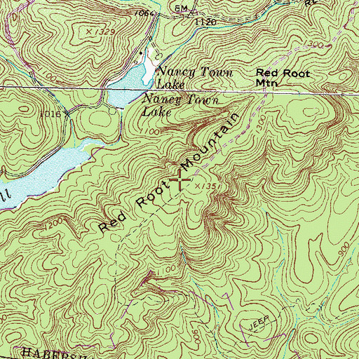Topographic Map of Red Root Mountain, GA